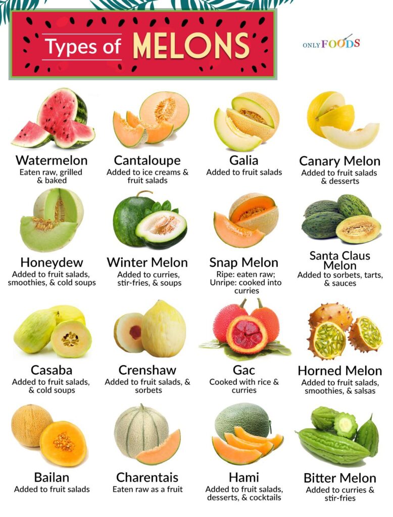 Please read this Great info Is cantaloupe good for losing weight, Watermelon for weight loss, Watermelon and weight loss, Cantaloupe for weight loss, Cantaloupe and weight loss.