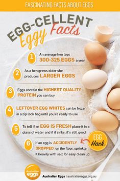 Please enjoy the info Are eggs high in cholesterol, Eggs and cholesterol, Cholesterol in eggs, Low cholesterol eggs, Eggs and high cholesterol.