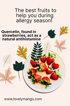 Enjoy the information which help you undertsand better Allergy symptoms to strawberries, Strawberry allergy, Rash from strawberries, Skin rash from strawberries, Strawberries and allergies.
