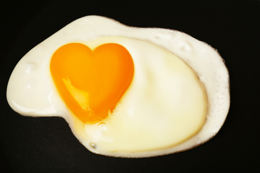 Please enjoy the info Are eggs high in cholesterol, Eggs and cholesterol, Cholesterol in eggs, Low cholesterol eggs, Eggs and high cholesterol.