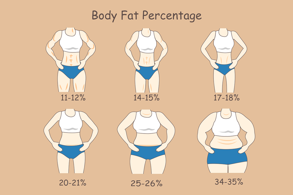 Body weight index chart, Meal plan for weight loss, Low calorie meals, Low calorie food, Ideal body weight.