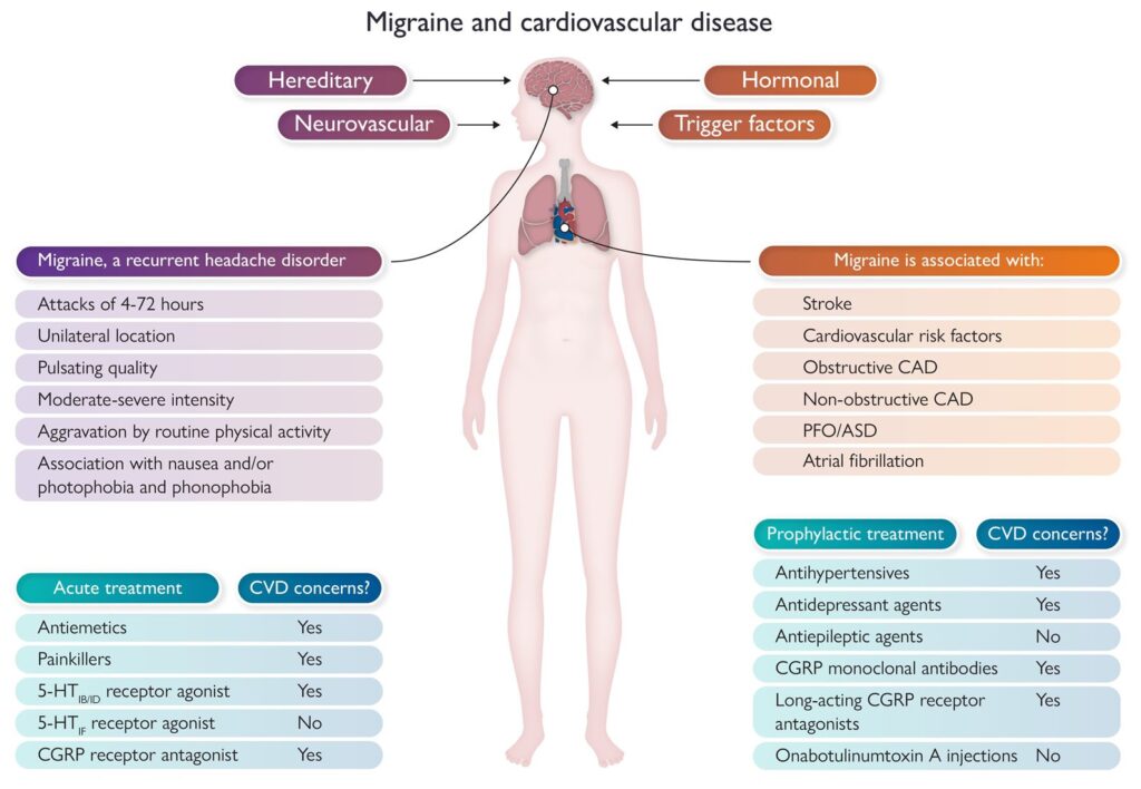 This blog cover up Cardiovascular risk factors, Heart disease risk factors, Cardiovascular risk assessment, Cardiovascular risk, Coronary artery stenosis.
