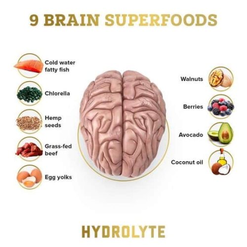 Please Read This Great Info Which Help You a Lot Best brain food, Brain food, Mind diet, Foods for brain function, Food on the brain.
